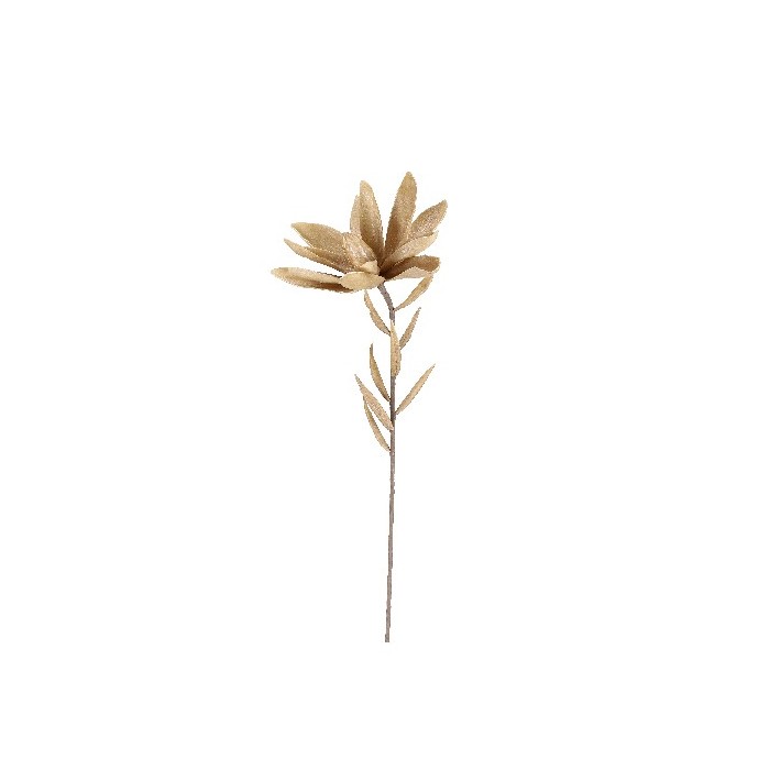 home-decor/artificial-plants-flowers/bizzotto-darian-beige-leucadendron-h81cm