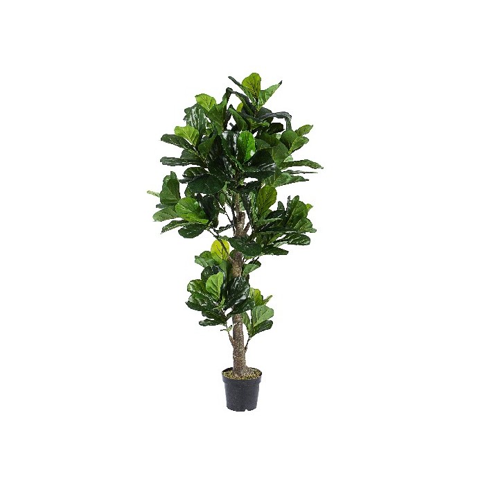 home-decor/artificial-plants-flowers/bizzotto-ficus-lyrata-plant-with-vase-153-leaves-h190cm