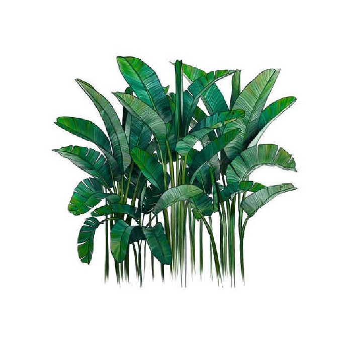 home-decor/artificial-plants-flowers/palm-tree-flat-sticker-101x95