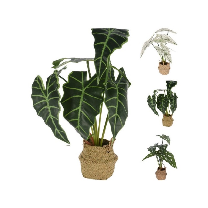 home-decor/artificial-plants-flowers/plant-alocasia-in-basket-51cm