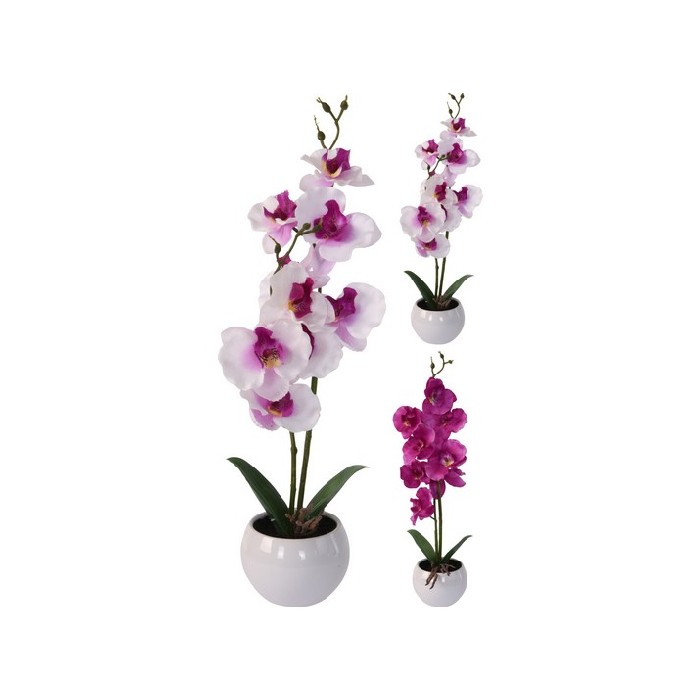 home-decor/artificial-plants-flowers/orchid-11x39cm-2ass-clr