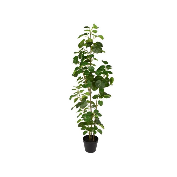 home-decor/artificial-plants-flowers/artificial-araliaceae-h122cm
