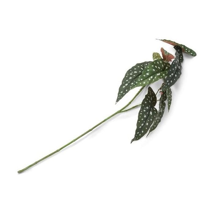 home-decor/artificial-plants-flowers/promo-coco-maison-artificial-begonia-maculata-green-90cm