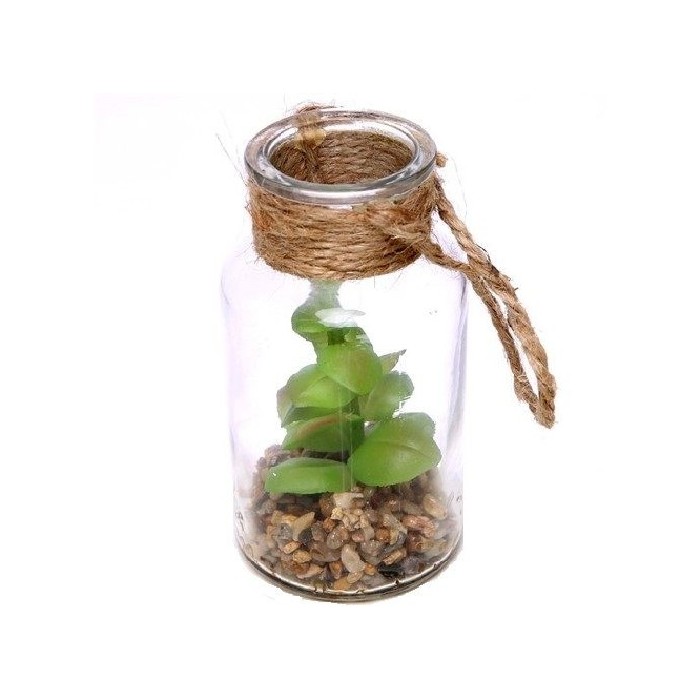home-decor/artificial-plants-flowers/glass-bottle-with-rope-succulent-19cm