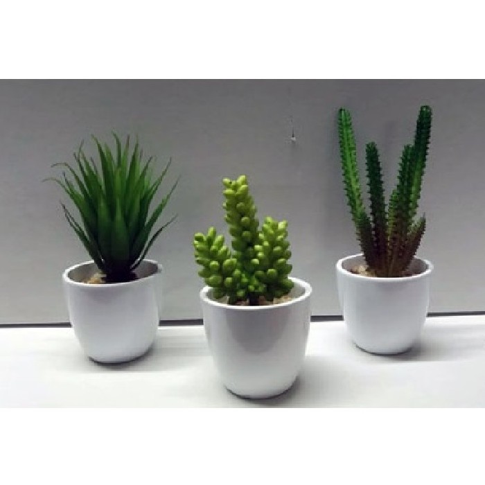 home-decor/artificial-plants-flowers/succulent-potted-15cm-3-assorted