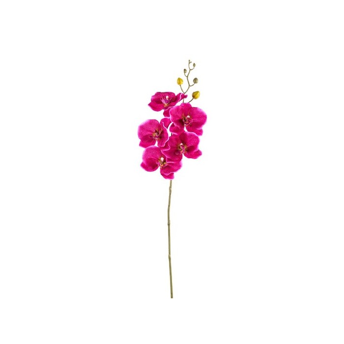 home-decor/artificial-plants-flowers/orchid-stem-78cm-orchid