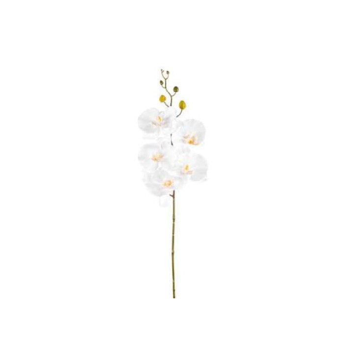 home-decor/artificial-plants-flowers/orchid-stem-78cm-white