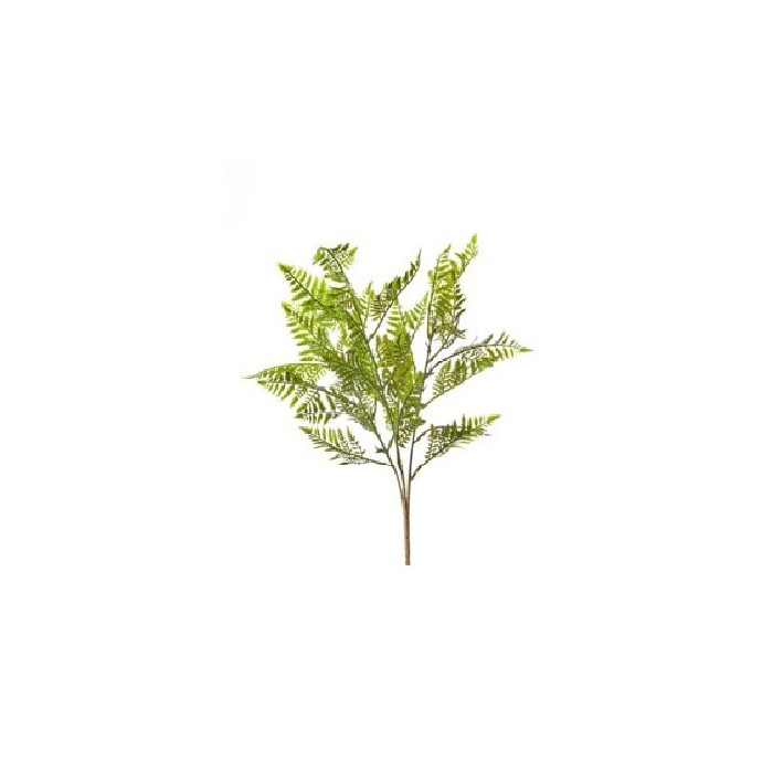 home-decor/artificial-plants-flowers/mini-fern-plant-45cm