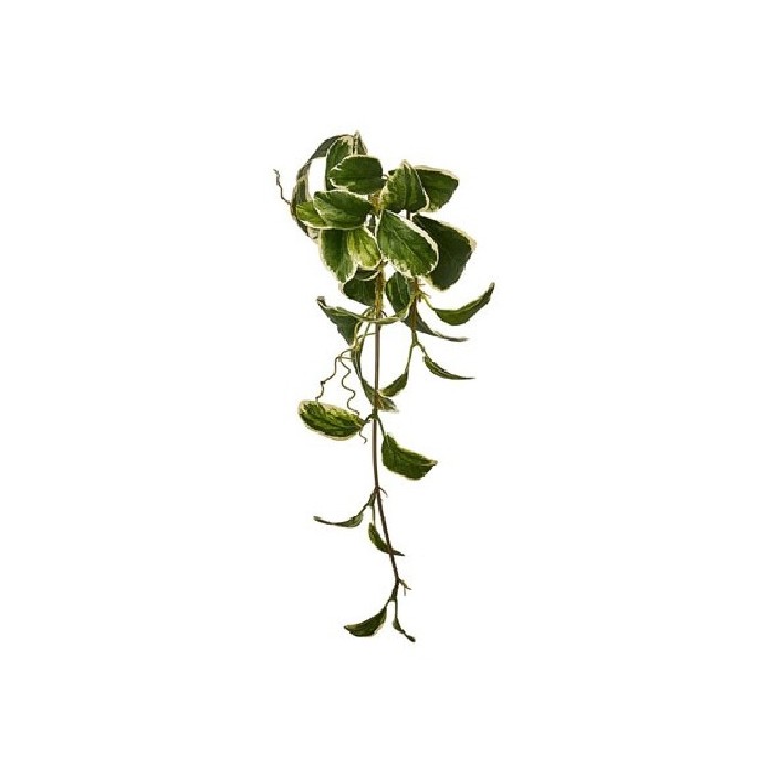 home-decor/artificial-plants-flowers/hanging-prisomia-37cm