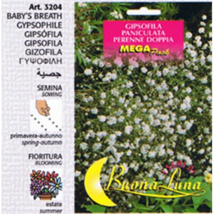 gardening/seeds/gipsofila-paniculata-perenne-doppia-3204