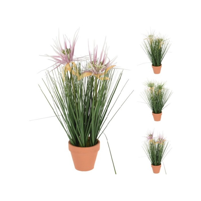 home-decor/artificial-plants-flowers/deco-grassorted-in-pot-9x41cm