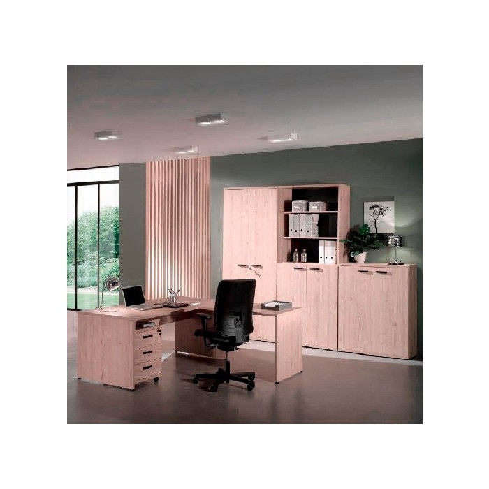 office/bookcases-cabinets/rio-bookcase-with-2-lockable-full-doors-finished-in-spring-oak