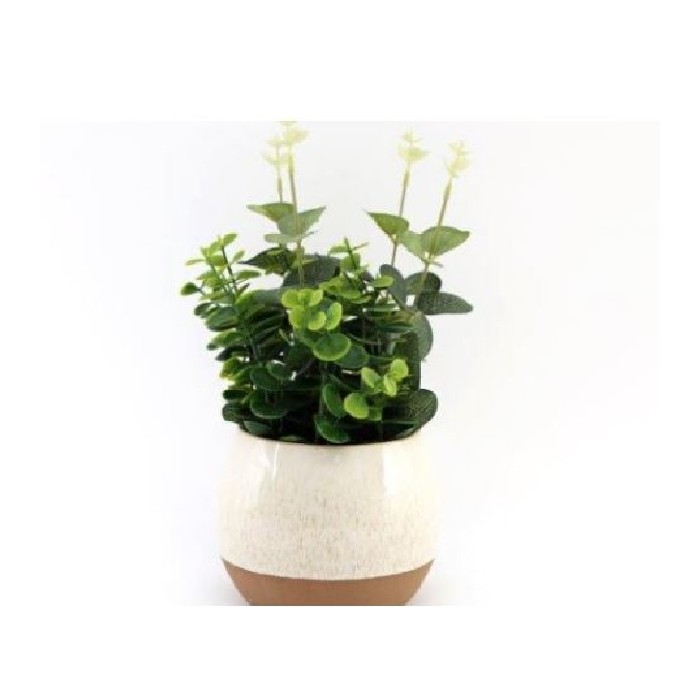 home-decor/artificial-plants-flowers/22cm-eucalyptus-in-natural-pot