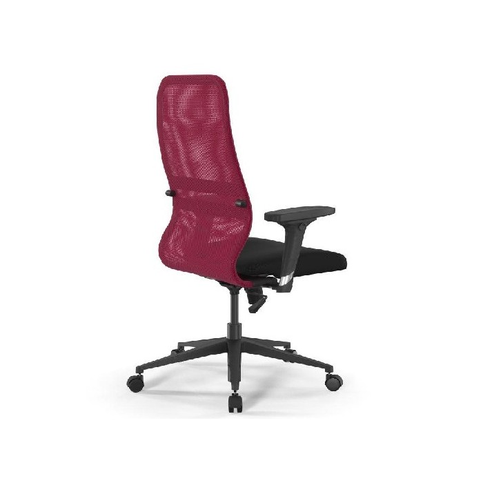 office/office-chairs/ergolife-sit8-low-back-office-chair-2d-arms-mesh-red