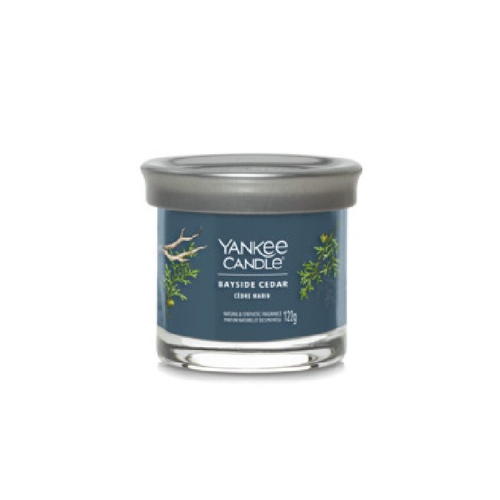 home-decor/candles-home-fragrance/yankee-tumbler-small-signature-bayside-cedar