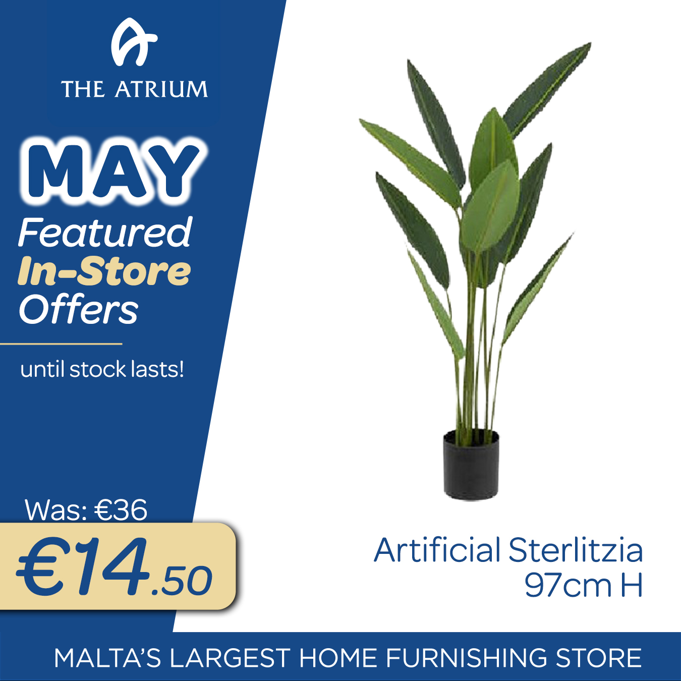 monthly offer