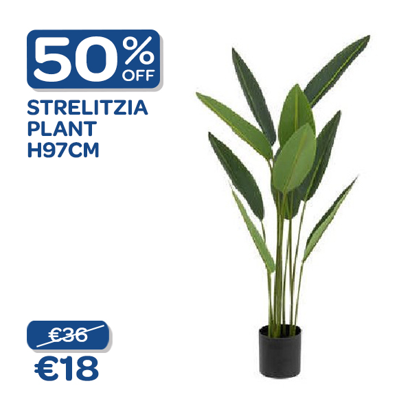 monthly offer