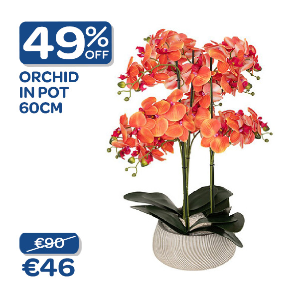 monthly offer
