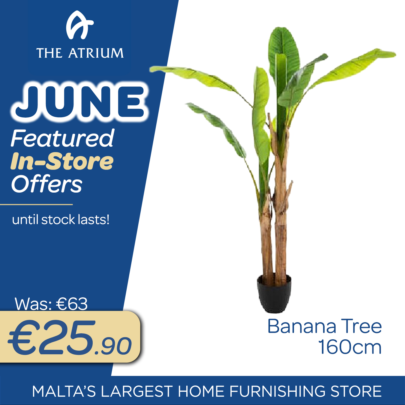monthly offer