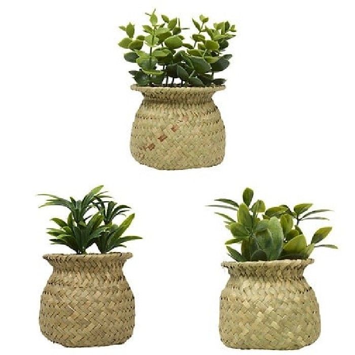 ARTIFICIAL PLANT with POT 16cm