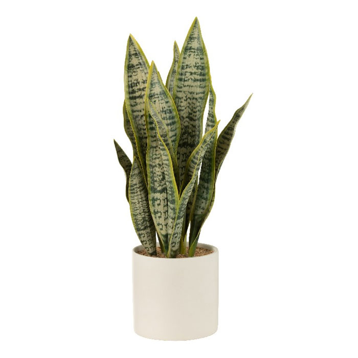 Artificial Plants & Flowers