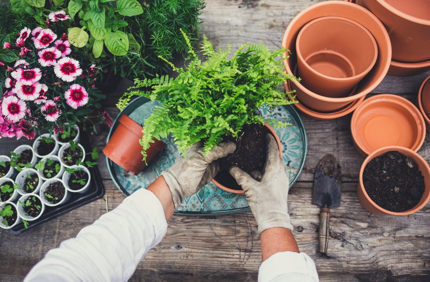 Garden special offers at The Atrium