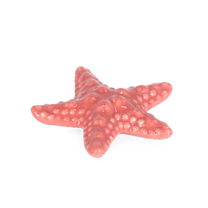 home-decor/decorative-ornaments/favignana-porcelain-coral-starfish-small
