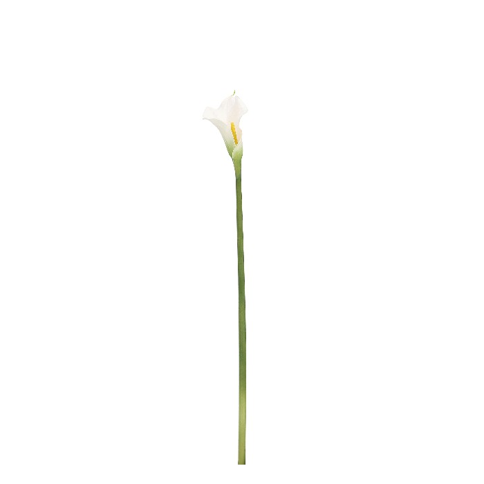 home-decor/artificial-plants-flowers/bizzotto-calla-lily-white-h61cm