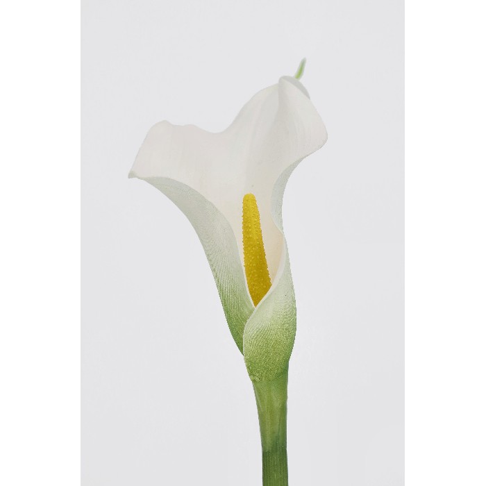 home-decor/artificial-plants-flowers/bizzotto-calla-lily-white-h61cm