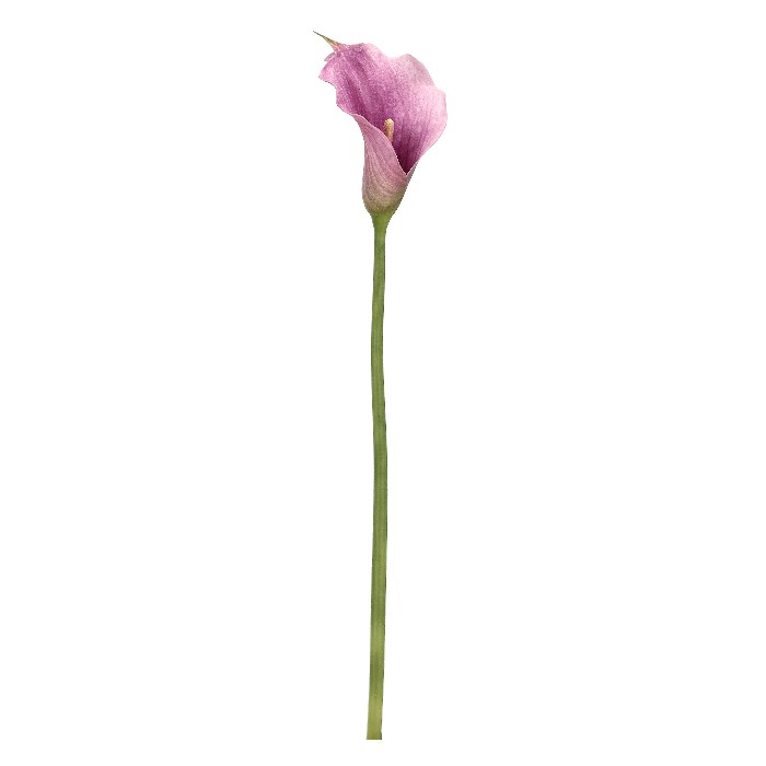 home-decor/artificial-plants-flowers/bizzotto-calla-lily-mauve-h82cm