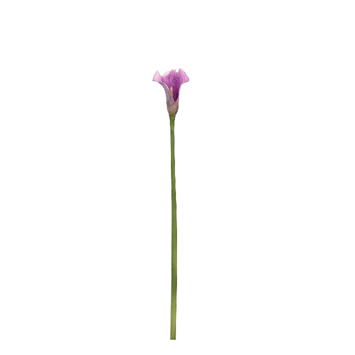 home-decor/artificial-plants-flowers/calla-lily-mauve-h61cm