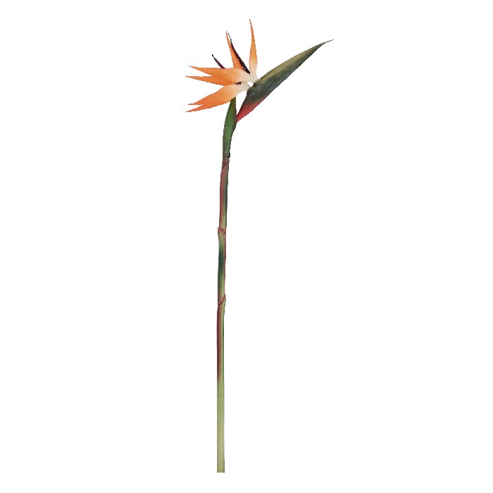 home-decor/artificial-plants-flowers/strelitzia-jessye-orange-h98cm