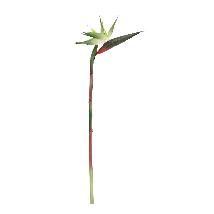 home-decor/artificial-plants-flowers/strelitzia-jessye-green-h98cm