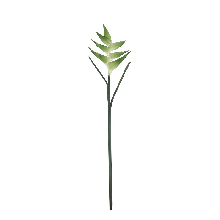 home-decor/artificial-plants-flowers/eliconia-jessye-green-h86cm
