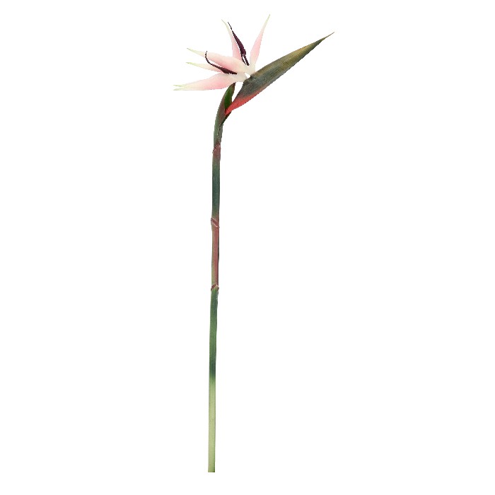 home-decor/artificial-plants-flowers/strelitzia-jessye-pink-h98cm