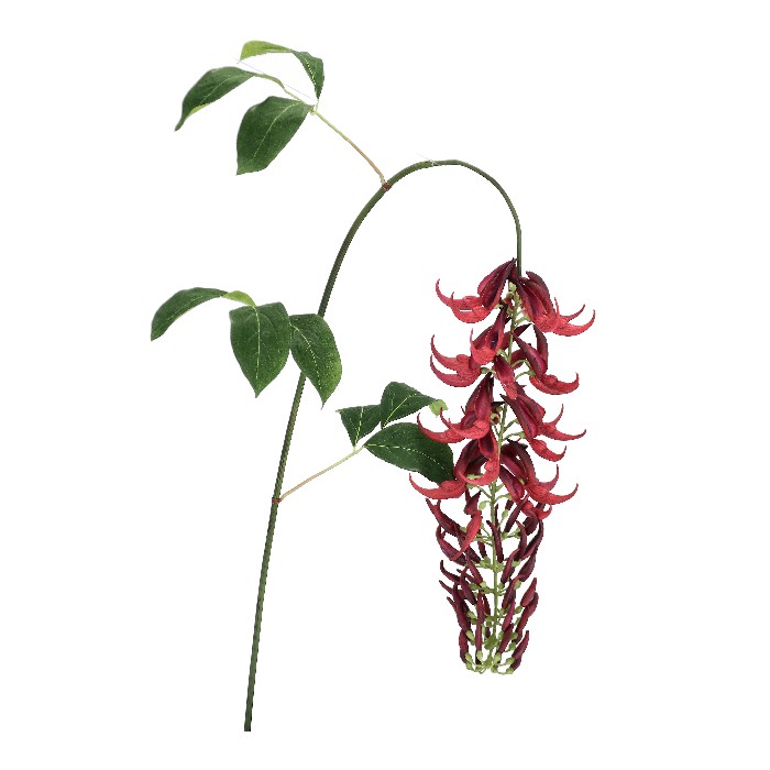 home-decor/artificial-plants-flowers/macuna-kaylin-red-h142cm