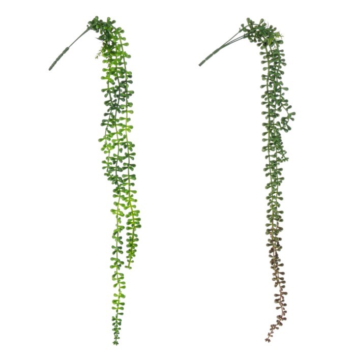 home-decor/artificial-plants-flowers/bizzotto-artificial-falling-branch-70cm-2-assorted-designs