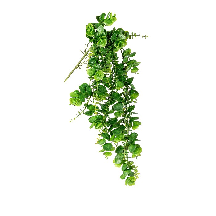 home-decor/artificial-plants-flowers/bizzotto-ekel-dischidia-green-hanging-branch-h79cm