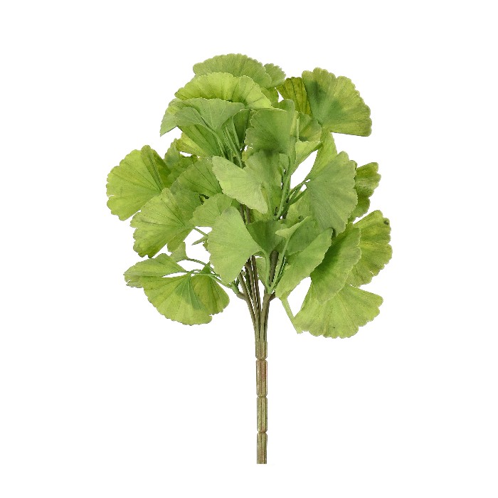 home-decor/artificial-plants-flowers/bizzotto-hydro-green-ginkgo-biloba-pick-h34cm