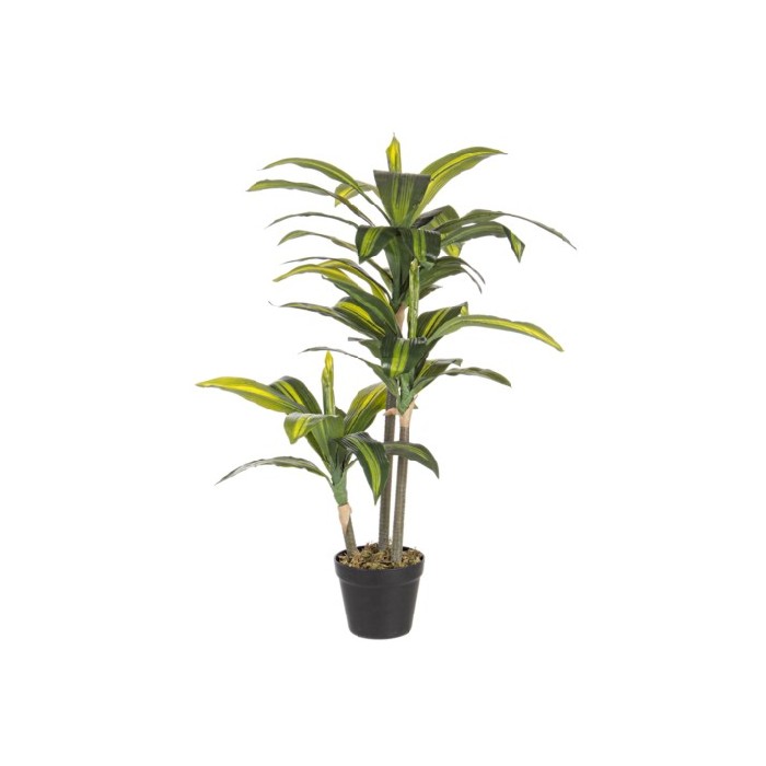 home-decor/artificial-plants-flowers/bizzotto-dracaena-plant-43-leaves-height-88cm-with-vase