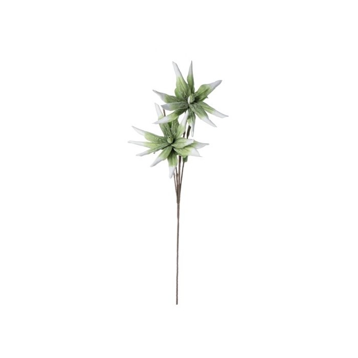 home-decor/artificial-plants-flowers/green-aloe-chinensis-x2f-h125