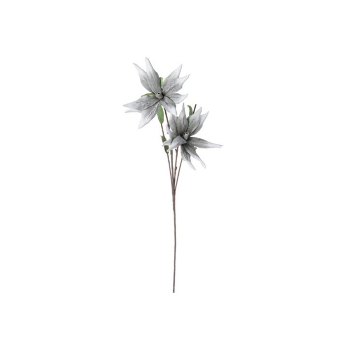 home-decor/artificial-plants-flowers/grey-aloe-chinensis-x2f-h125