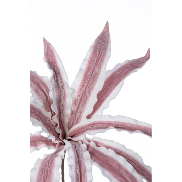 home-decor/artificial-plants-flowers/bizzotto-artificial-variegated-aloe-branch-pink-98cm