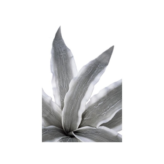 home-decor/artificial-plants-flowers/bizzotto-artificial-variegated-aloe-branch-grey-98cm