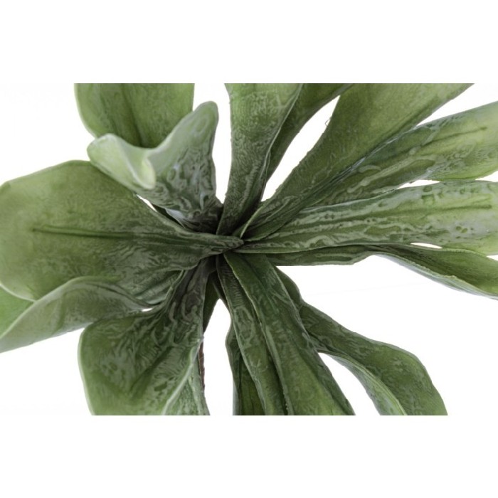 home-decor/artificial-plants-flowers/green-water-hyacinth-branch-h98