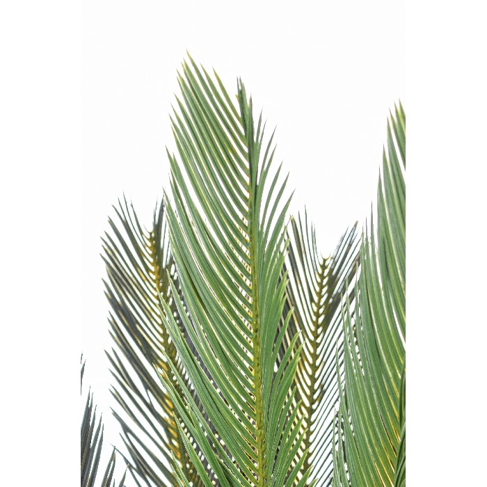 home-decor/artificial-plants-flowers/bizzotto-cycas-plant-with-28-leaves-height-120cm-with-vase