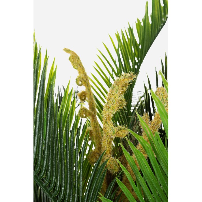 home-decor/artificial-plants-flowers/bizzotto-palma-plant-with-vase-36-leaves-2-tiers-height-150cm