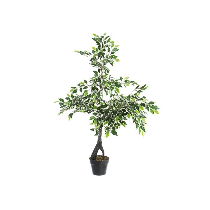 home-decor/artificial-plants-flowers/bizzotto-variegated-ficus-plant-with-pot-760-leaves-height-120cm