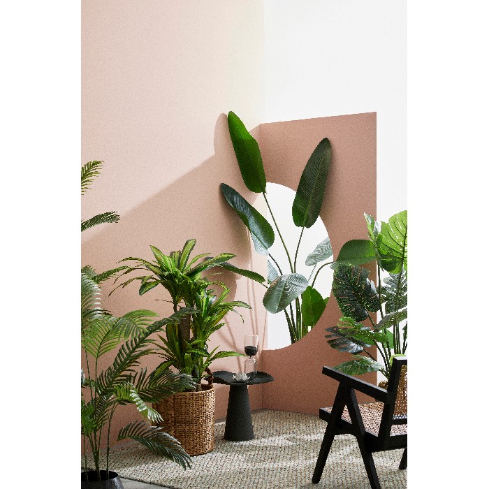 home-decor/artificial-plants-flowers/bizzotto-dracaena-plant-with-vase-65-leaves-height-110cm