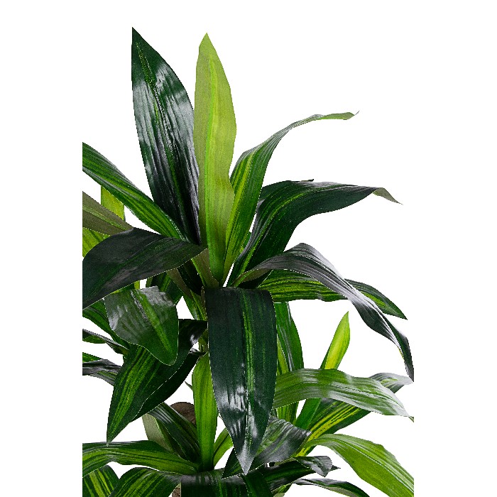 home-decor/artificial-plants-flowers/bizzotto-dracaena-plant-with-vase-65-leaves-height-110cm